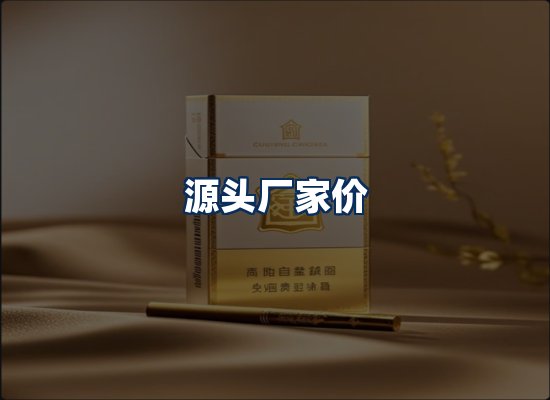 专业团队办公环境